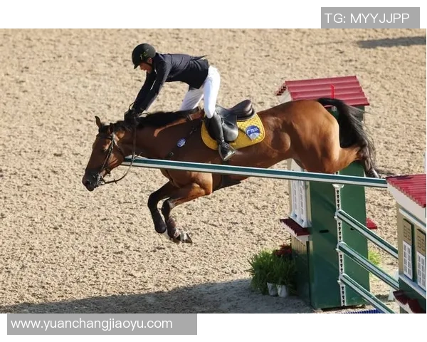 全运会 - 马术比赛后,冠亚第三名敞开“互夸形式”